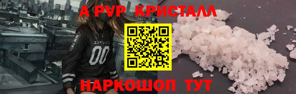 A PVP СК КРИС  A PVP СК  Кириши  Вход с VPN 