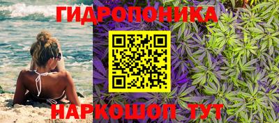 spice Берёзовский