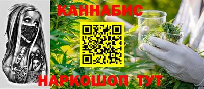 тгк Бийск