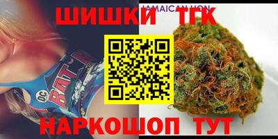 тгк Бийск