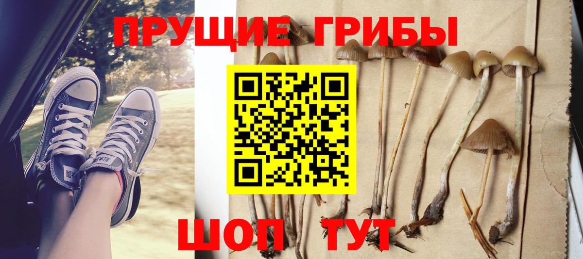 Псилоцибиновые грибы ЛСД Кириши