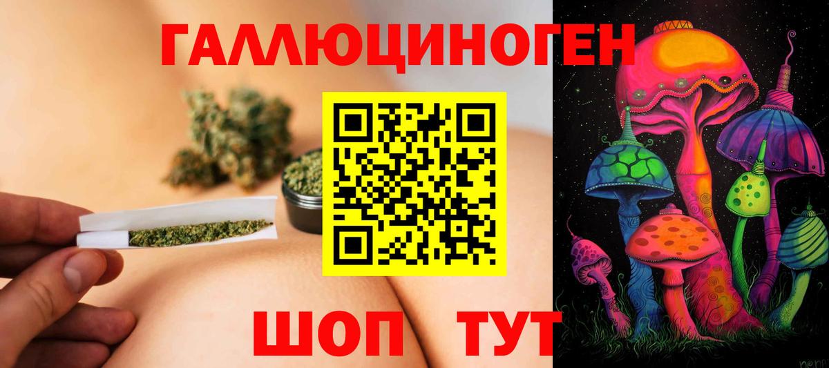 Галлюциногенные грибы Cubensis  Галлюциногенные грибы прущие грибы  хочу   Вход с VPN  Кириши 