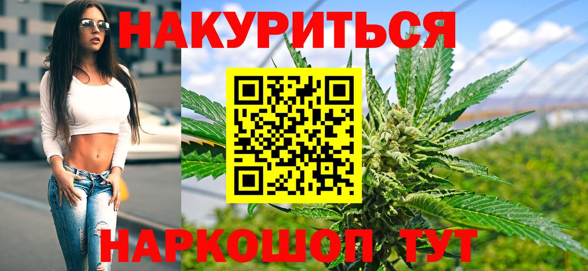 Шишки марихуана ГИДРОПОН  Бошки марихуана планчик  Вход с VPN  Конопля сатива  Канабис Bruce Banner  Кириши 